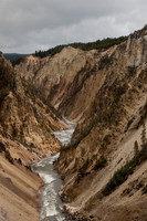 Downstream from the Falls