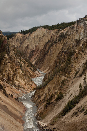 Downstream from the Falls