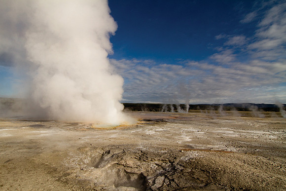Field of Steam