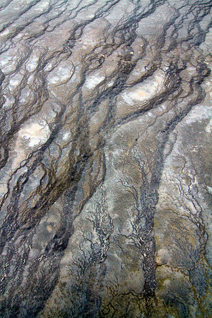 Hot Springs Abstract #2