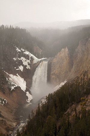 Lower Yellowstone Falls in the Mist