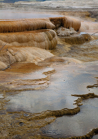 Mammoth Hot Springs Terraces