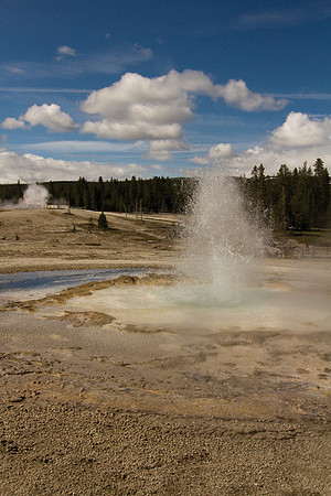 Upper Geyser Basin #1