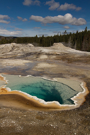 Heart Spring #1
