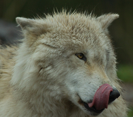 MMMM!