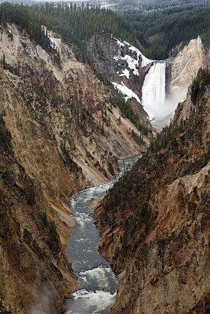 Lower Yellowstone Falls #1
