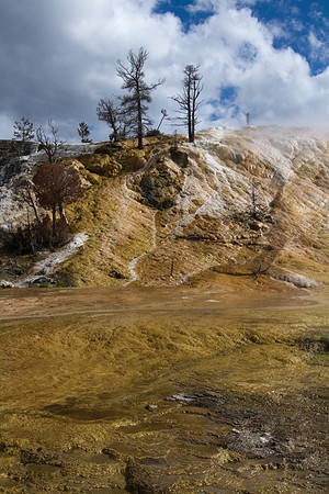 Mammoth Hot Springs #1
