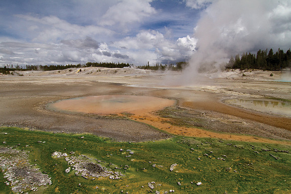 Norris Geyser Basin #3