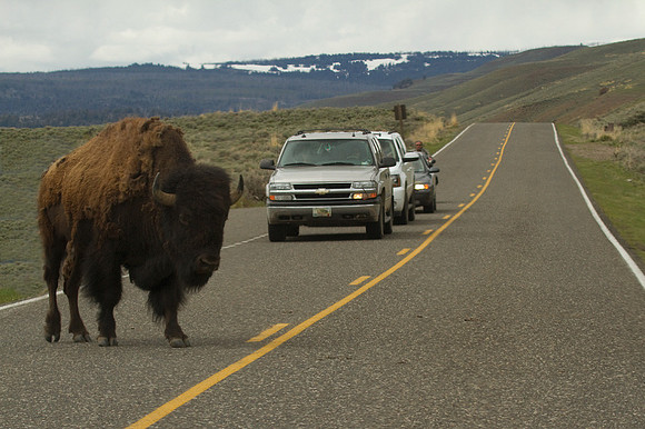 Roadblock