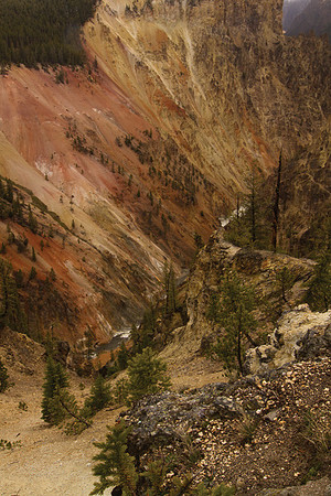 Ravine