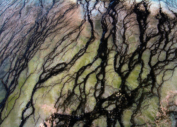 Hot Springs Abstract #1