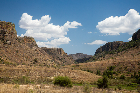 Isalo Canyon Des Singes