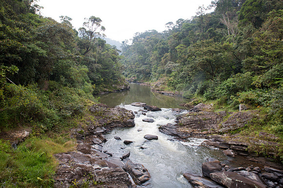 Ranomafana River 2