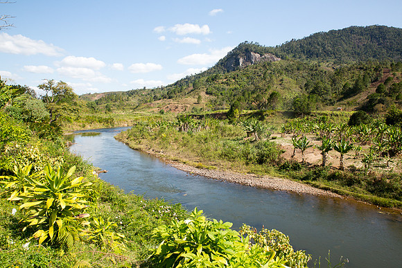 Ranomafana River 3