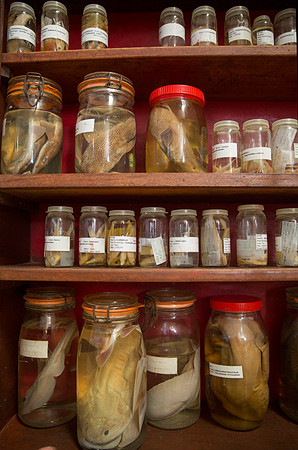 Marine Museum 4