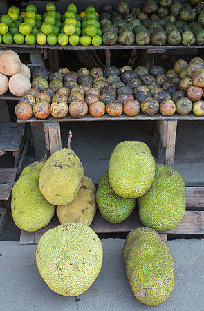 Jackfruit
