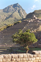 Machu Picchu #3