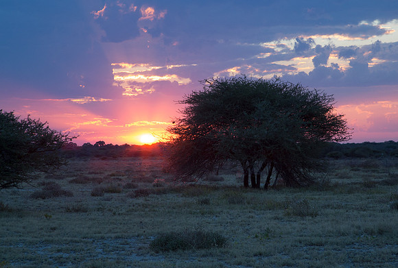 Sunset at Onguma