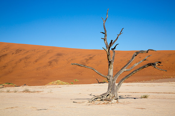 Deadvlei 6 - Copy