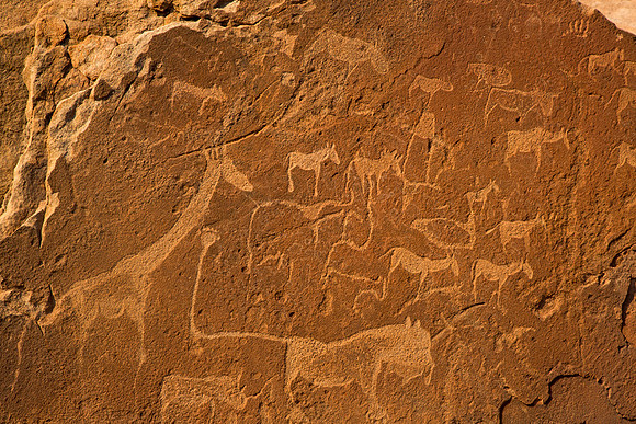 Twyfelfontein Engraving 6