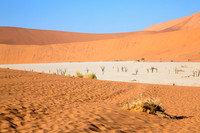 Deadvlei 1 - Copy