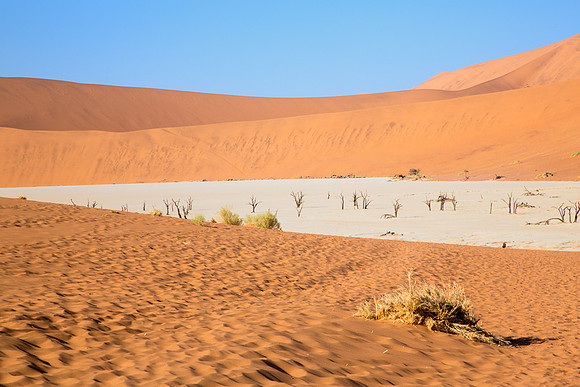 Deadvlei 1 - Copy