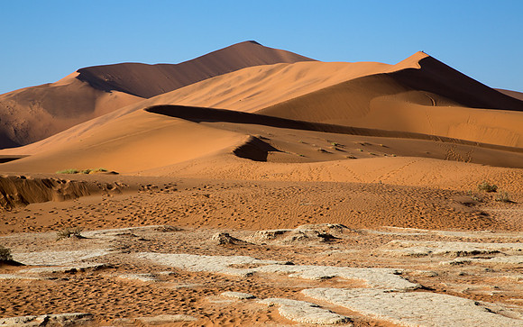 Near Deadvlei 1