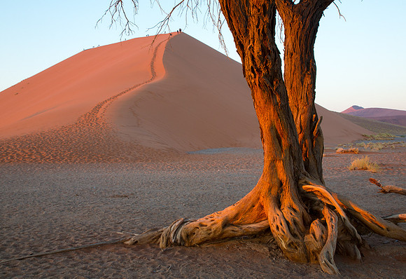 Dune 45 Sunrise 3 - Copy