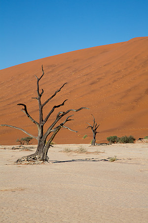 Deadvlei 5 - Copy