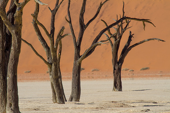 Deadvlei 11 - Copy