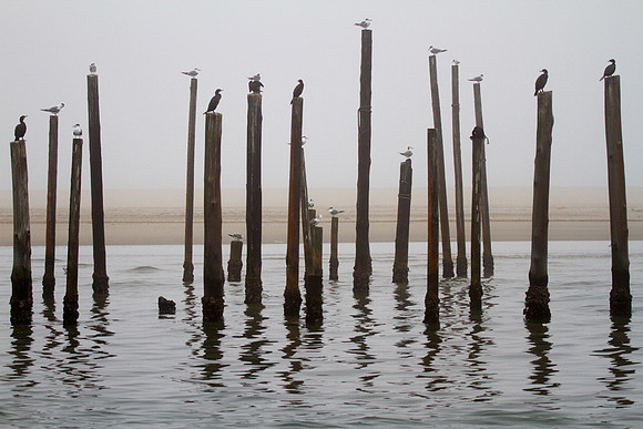 Walvis Bay Pilings