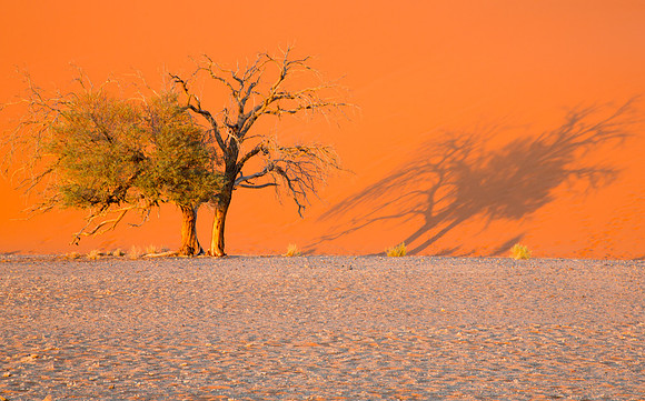 Dune 45 Sunrise 5 - Copy