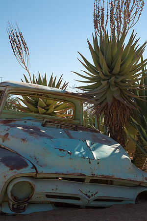 Rusted Car at Solitude 4