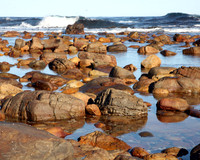 Cape of Good Hope #7