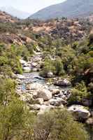 River at Sequoia