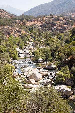 River at Sequoia