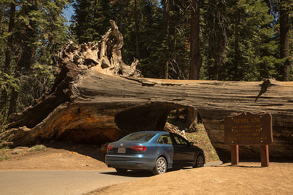 Tunnel Log