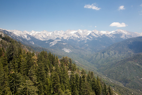 Sequoia Valley View