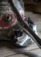Kitten and Mask at Korosaweri Village 2