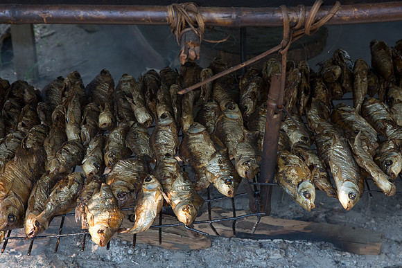 Cooking Fish at Mindibit Village