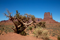 Monument Valley West Mitten 2