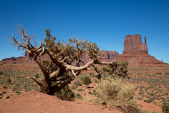 Monument Valley West Mitten 2