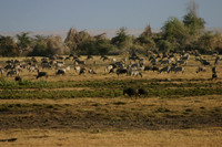 Ambboseli at Dawn 3