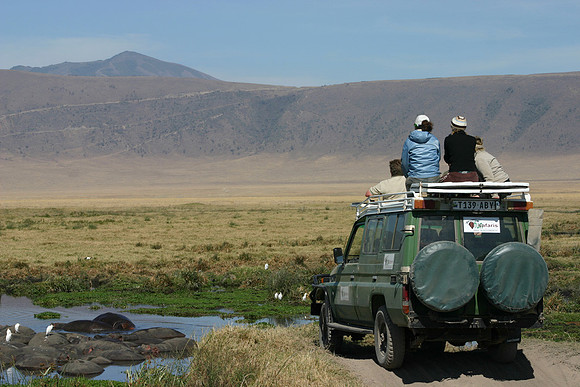 Safari Group Watching Hippos