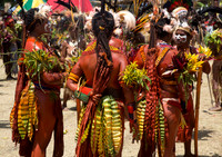 Goroka Show 5