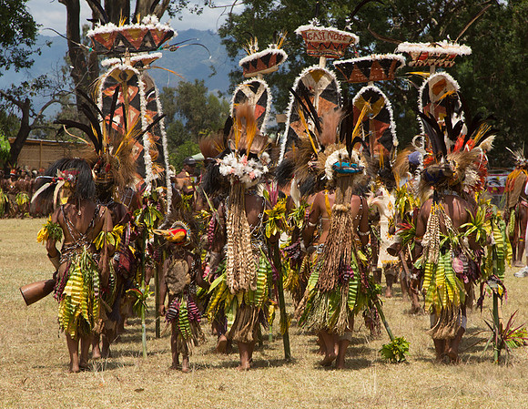 Goroka Show 4