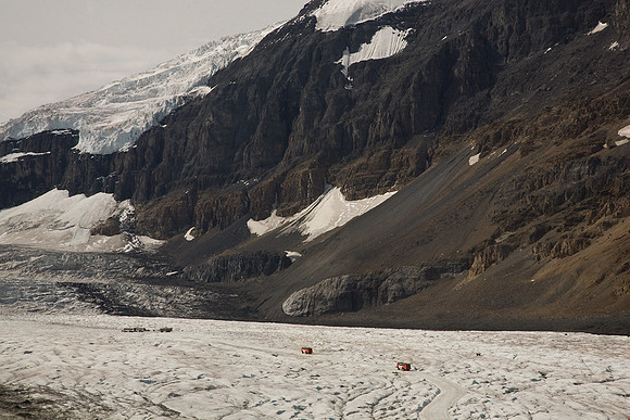 Glacier Buggies at Athabasca