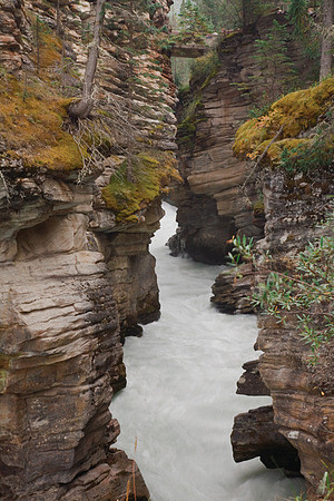 Notch at Athabasca Falls