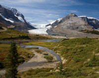 Athabasca Glacier