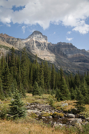 Lake O'Hara Trail #2
